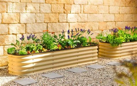 metal garden beds vs wooden